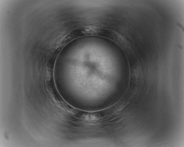 X0000103250751200808281503