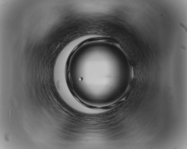 X0000103250752200808281503