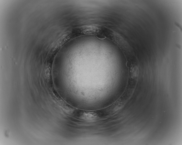 X0000103250753200808281503