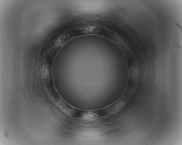 X0000103250754200808281503