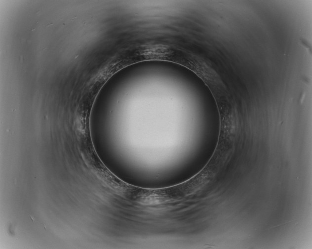 X0000103250755200808281503