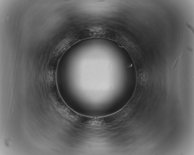 X0000103250756200808281503