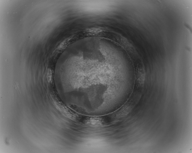 X0000103250758200808281503