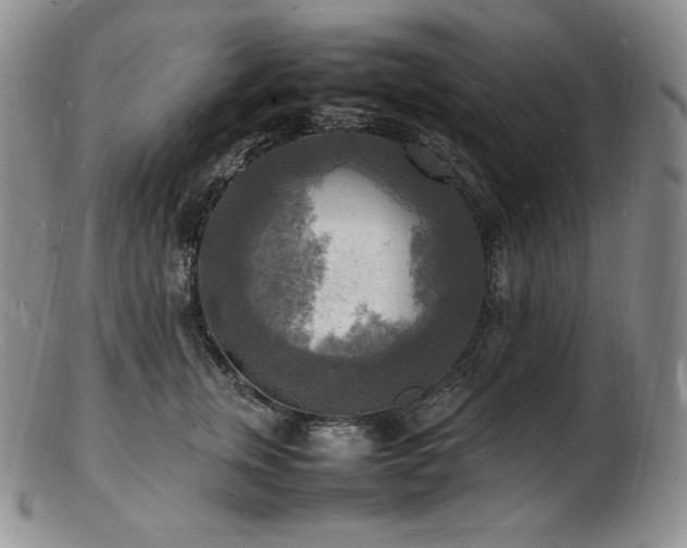 X0000103250759200808281503