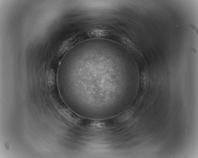 X0000103250760200808281503