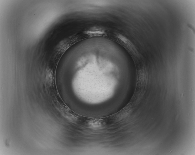 X0000103250761200808281503