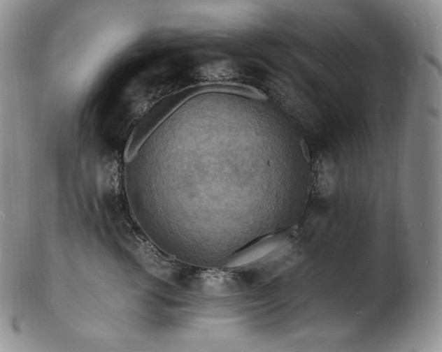X0000103250762200808281503