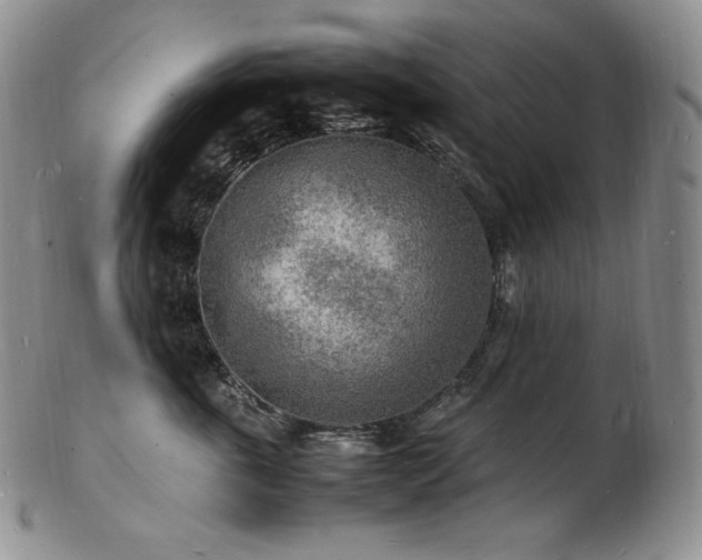 X0000103250763200808281503