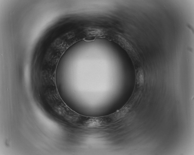 X0000103250764200808281503