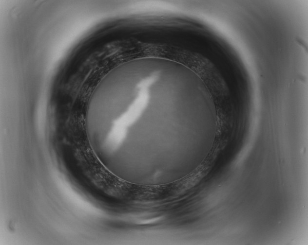 X0000103250765200808281503