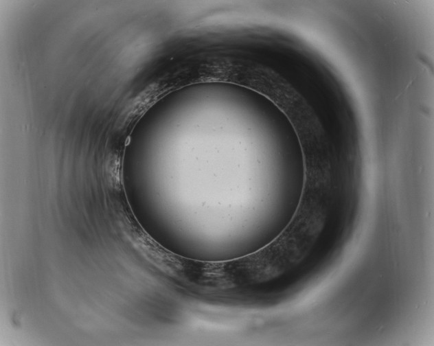 X0000103250766200808281503