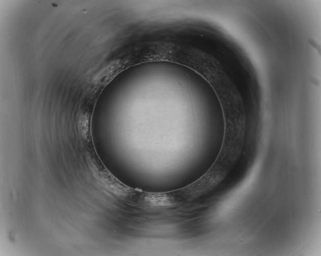 X0000103250767200808281504