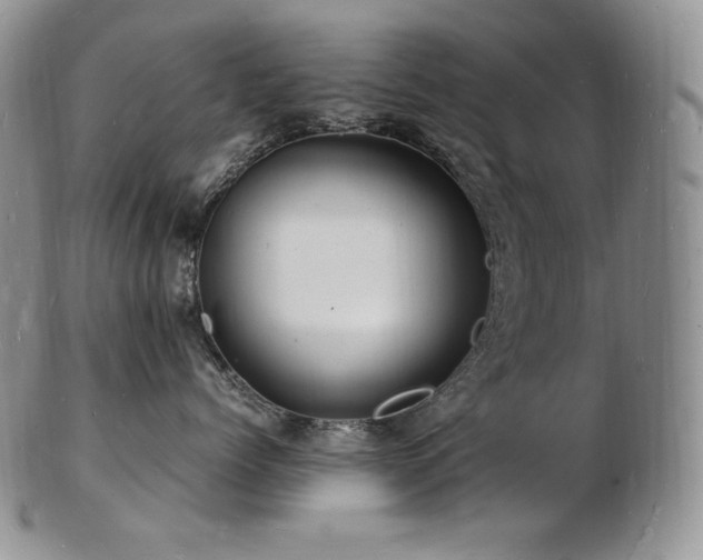 X0000103250768200808281504