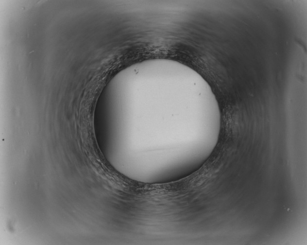 X0000103250769200808281503