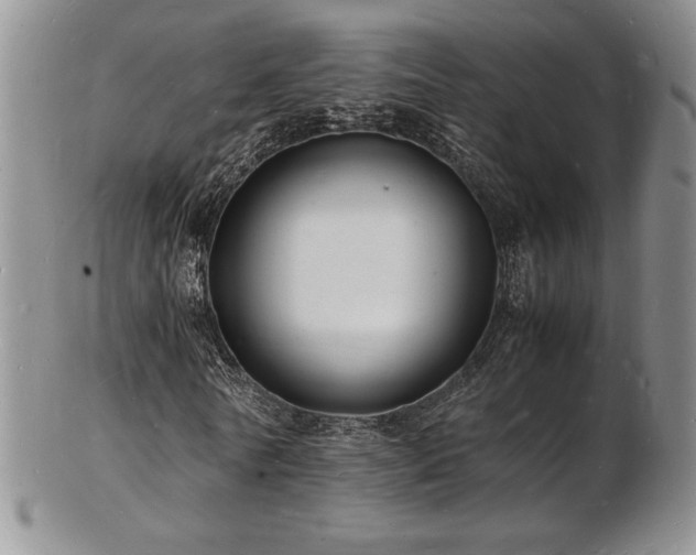 X0000103250770200808281503