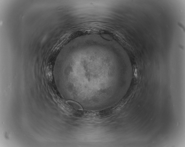X0000103250771200808281503