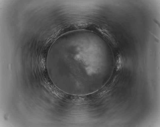 X0000103250772200808281503