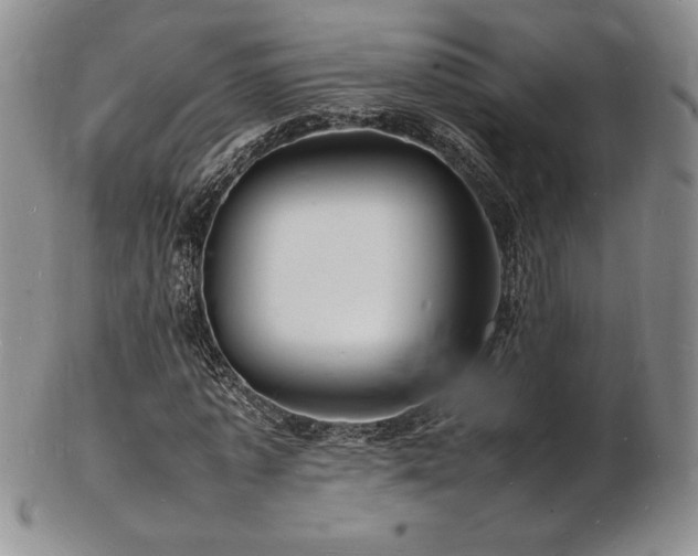 X0000103250773200808281503
