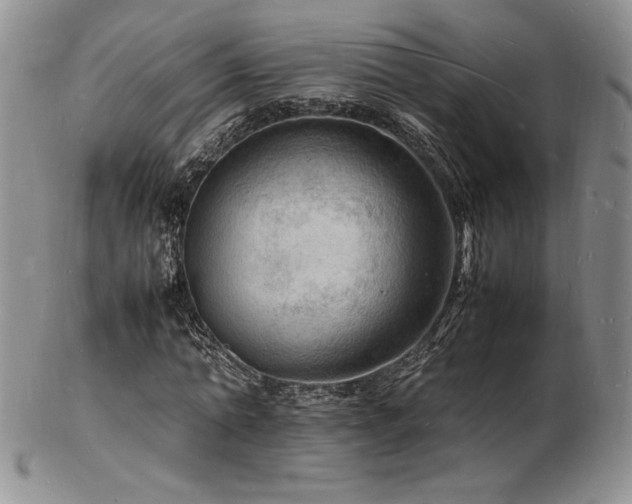 X0000103250774200808281503