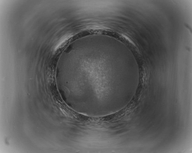X0000103250775200808281503