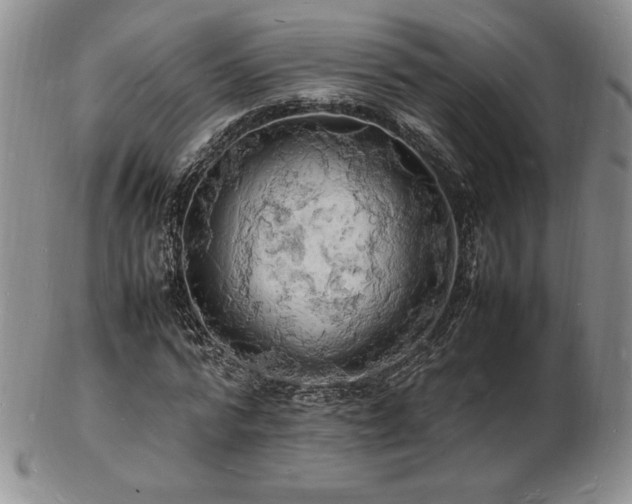 X0000103250776200808281503
