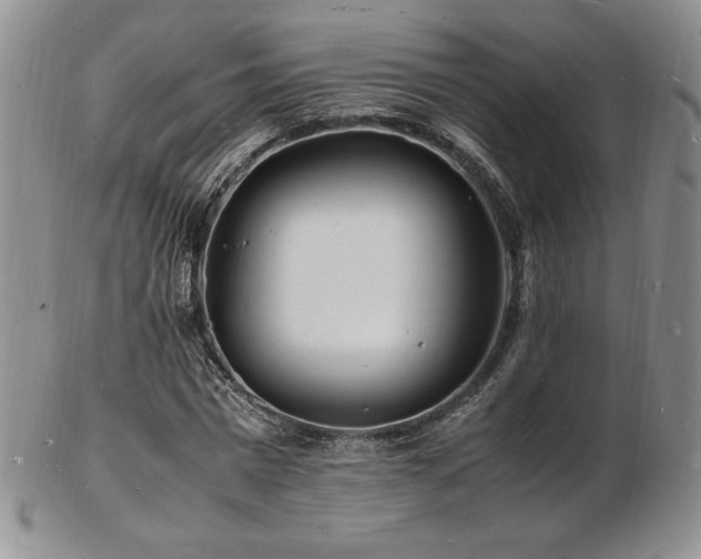 X0000103250777200808281503