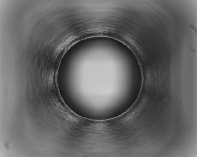 X0000103250778200808281503
