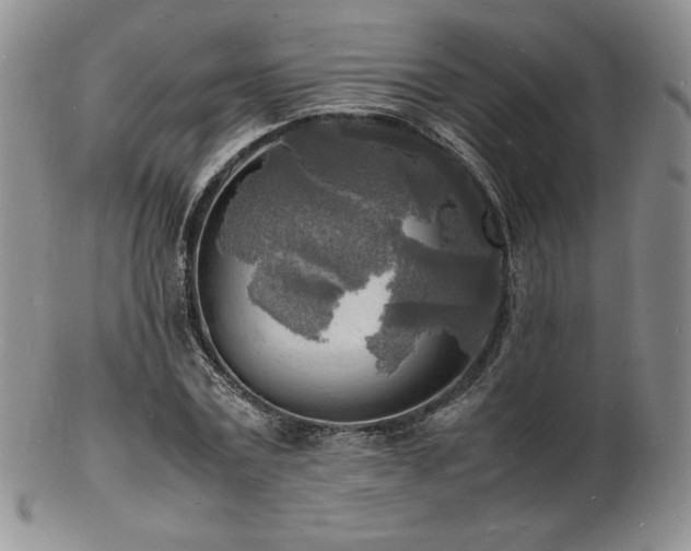 X0000103250779200808281503