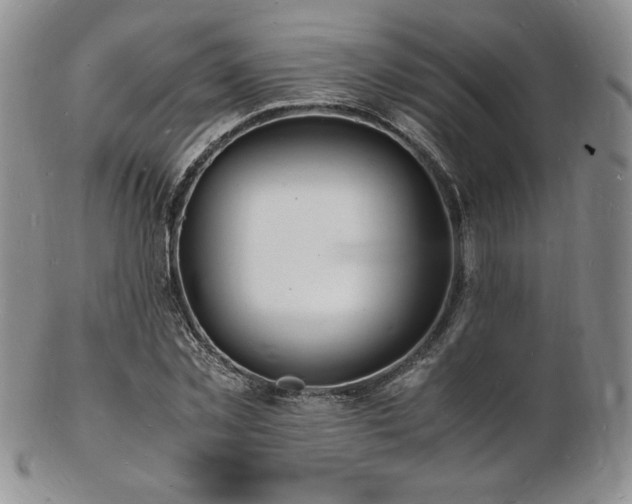 X0000103250781200808281502