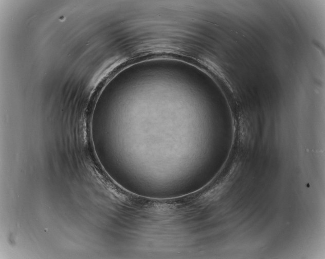 X0000103250782200808281502