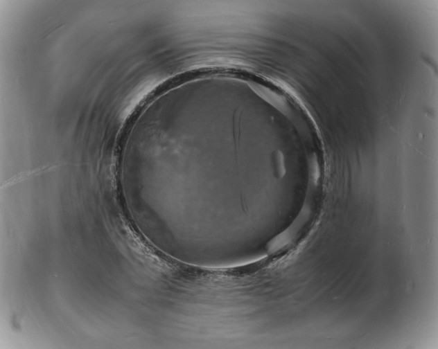 X0000103250783200808281502