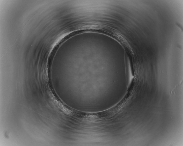 X0000103250784200808281502