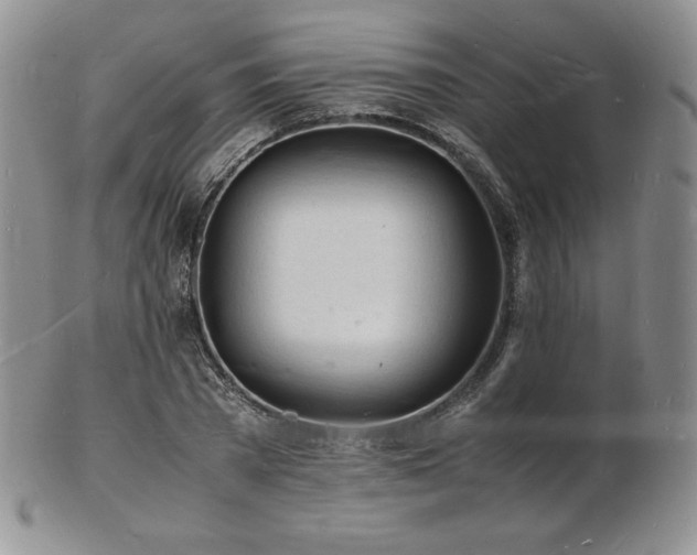 X0000103250785200808281502