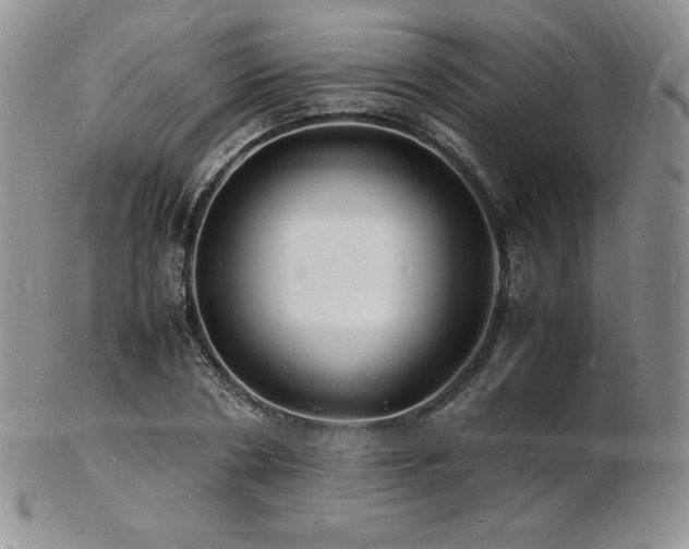 X0000103250786200808281502
