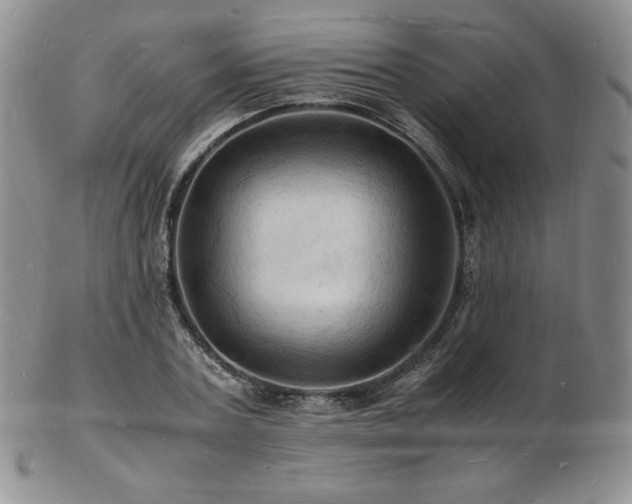 X0000103250787200808281502