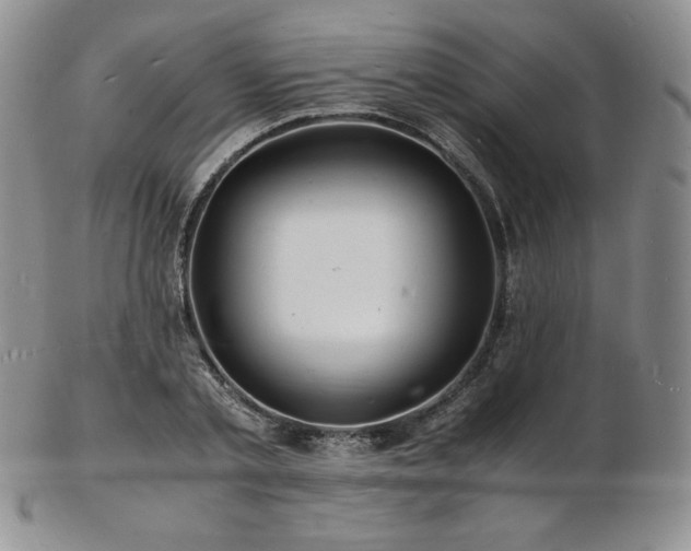 X0000103250789200808281502