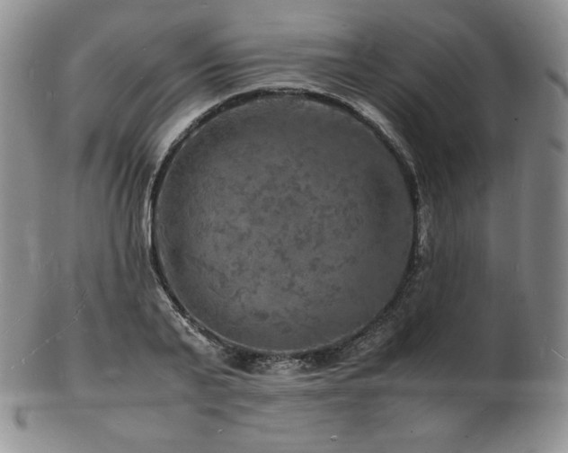 X0000103250791200808281502