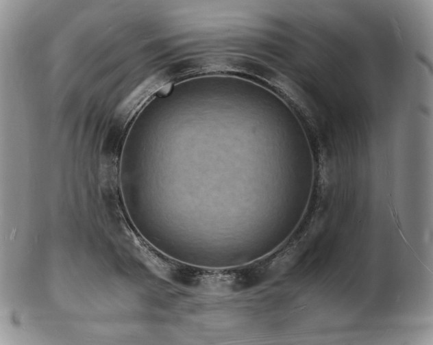 X0000103250793200808281502