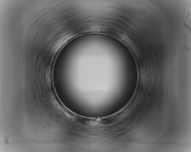 X0000103250794200808281502