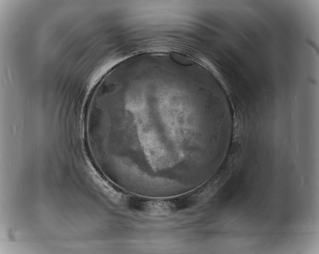 X0000103250795200808281502