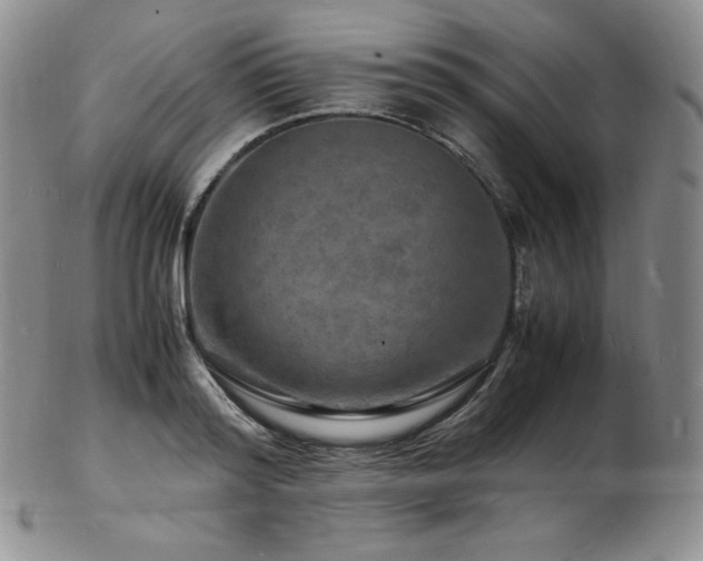 X0000103250796200808281502