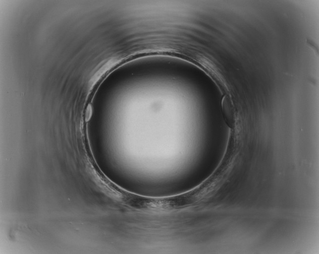 X0000103250797200808281502