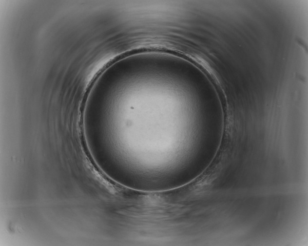 X0000103250799200808281502