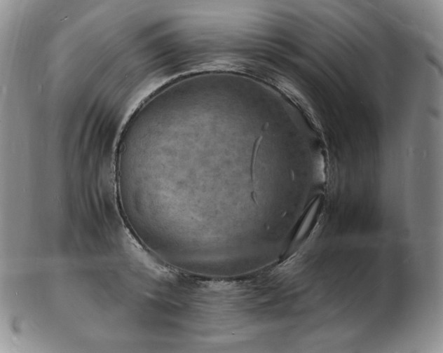 X0000103250800200808281502