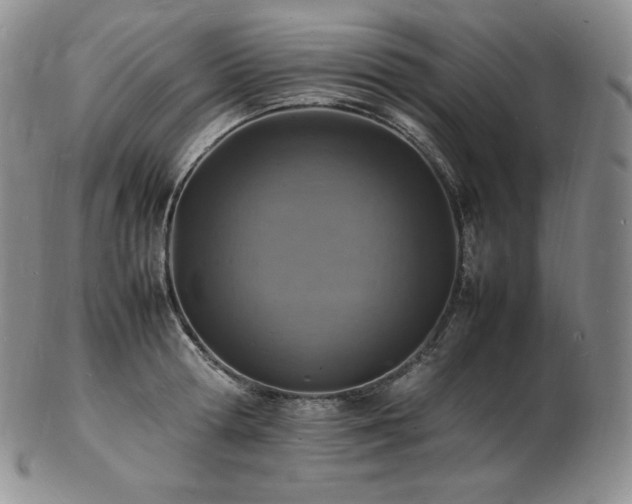X0000103250802200808281502
