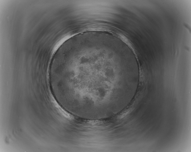 X0000103250803200808281502