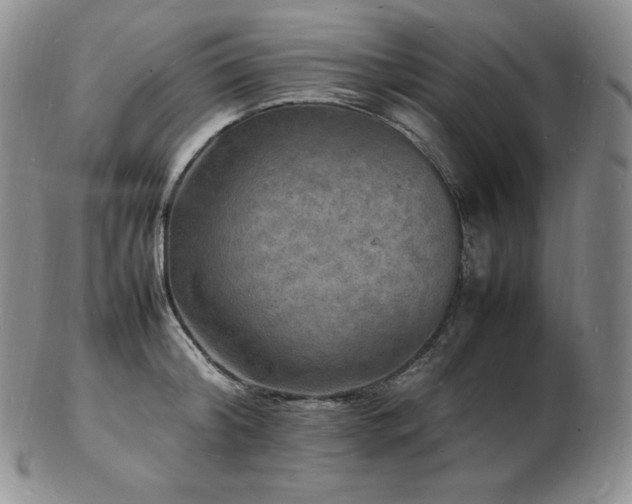 X0000103250804200808281502