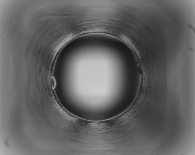 X0000103250805200808281502