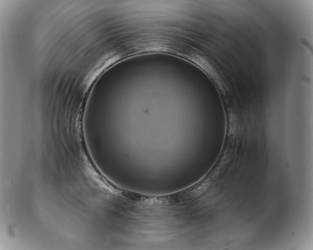 X0000103250806200808281502