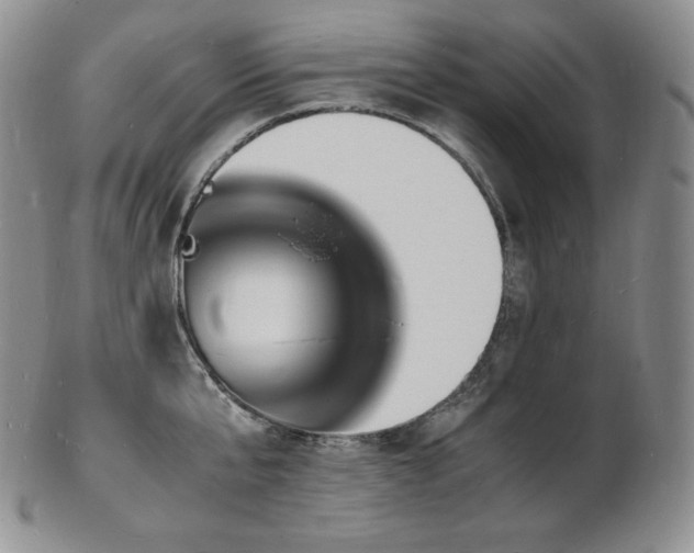 X0000103250807200808281502